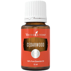 YL Cedarwood Essential Oil - Biosense Clinic
